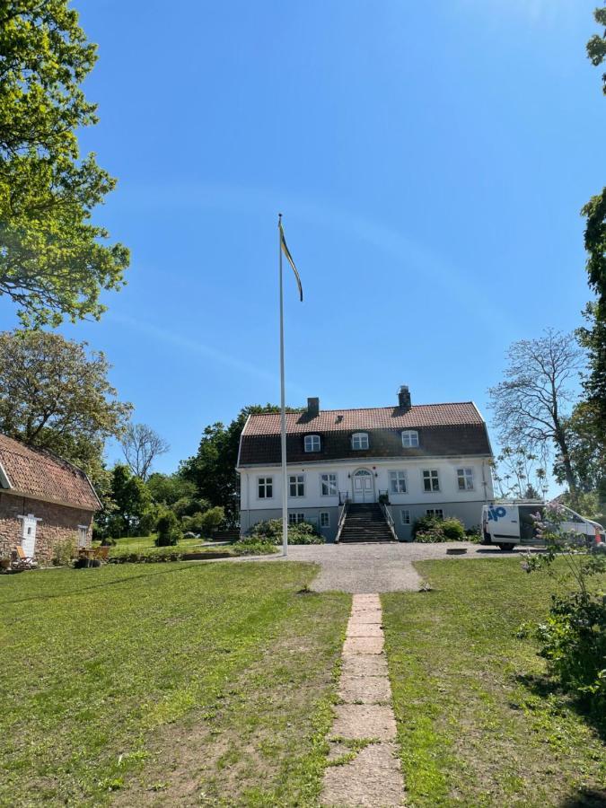 Rosenfors Herrgard B&B 博里霍尔姆 外观 照片