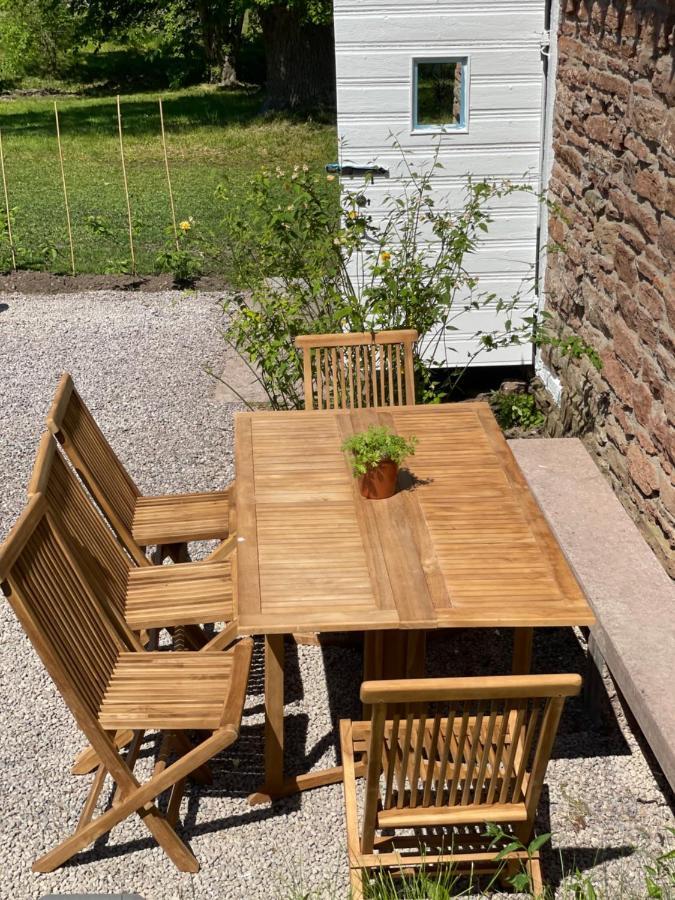 Rosenfors Herrgard B&B 博里霍尔姆 外观 照片