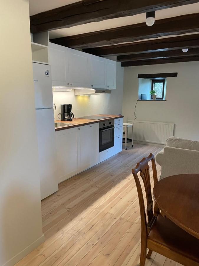 Rosenfors Herrgard B&B 博里霍尔姆 外观 照片