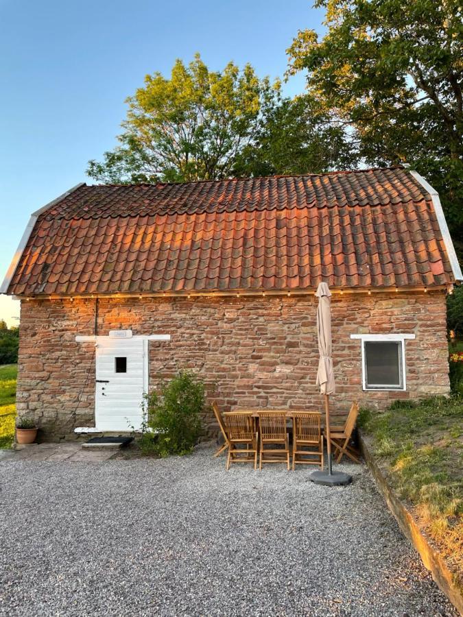 Rosenfors Herrgard B&B 博里霍尔姆 外观 照片