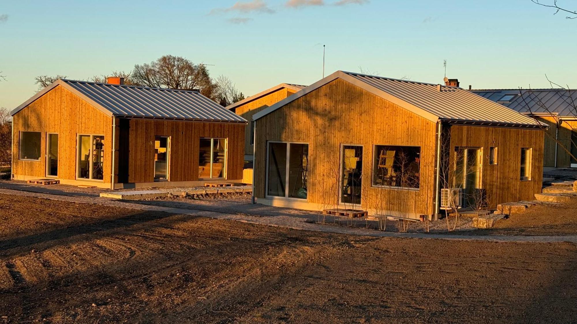 Rosenfors Herrgard B&B 博里霍尔姆 外观 照片